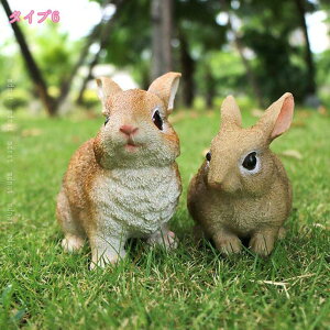 K[fCg K[fjOIuWF A   ETM ϋv 킢 v[g  O fR[V a NX}X j  t  ci  O ObY u