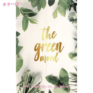 500~OFFN[| ̂  O k g t g Ԏd؂ J[e  킢  Lb` 䏊 rO l炵 _CjO V q  a [t