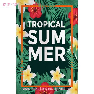 777~OFFN[| ̂  O k g t g Ԏd؂ J[e  킢  Lb` 䏊 rO l炵 _CjO V q  a [t