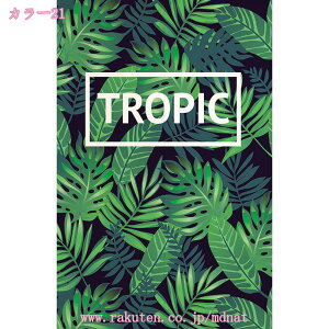 ̂  O k g t g Ԏd؂ J[e  킢  Lb` 䏊 rO l炵 _CjO V q  a [t ̂ ^yX