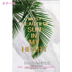 ̂  O k g t g Ԏd؂ J[e  킢  Lb` 䏊 rO l炵 _CjO V q  a [t ̂ ^yX