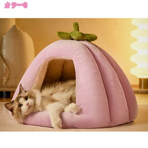 ybgxbh  L ӂӂ g ybgnEX Lxbh ybgp h[^ybgxbh  K _炩 ~΍ \tgP[W ~p g薰xe ~ 