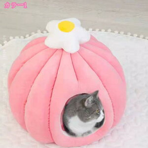 L xbh ~ h[ h[^ Lxbh 􂦂 g Lxbhh[ ybgxbh ӂӂ NbV ~p ybg xbhnEX ΍ ~ Lp ^ Lxbh  