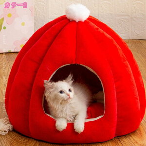 L xbh  xbh ~ 􂦂 ӂӂ LnEX h[^ ybg nEXLbgnEX L Q xe Vя ~p  ӂӂ g LbgnEX lRxbh lR 