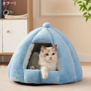 nEX  L ybg h[ ~ ʔN g 􂦂  킢 xbh ^ ybgxbh h[^ uE h[^LnEX ^ Lp @\ 薰 p􂦂 y