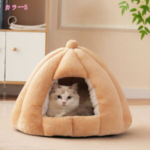 nEX  L ybg h[ ~ ʔN g 􂦂  킢 xbh ^ ybgxbh h[^ uE h[^LnEX ^ Lp @\ 薰 p􂦂 y