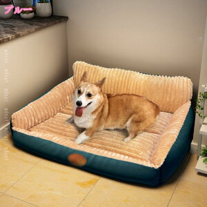 1000�~OFF�N�[�|�� �� �y�b�g�x�b�h �L �y�b�g�x�b�g �~�p �J�h��? �������� �y�b�g�N�b�V���� �p�^ ���p �L�p �ӂ�ӂ� �X�N�G�A ���^�� ���^�� �g���� �H�~�p �N�b�V���� �}�b�g �p�` �h�b�O