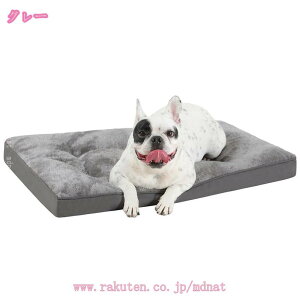 1000~OFFN[|  xbh 􂦂 v ~  ʔN ^ ^ ybgxbh LNbV NbV ~ Lxbh ӂӂ g h΍ lGʗp ybg\t@[ 