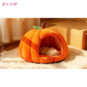 ybgxbh L  xbh ~ nEX h[  􂦂 ^ ybg g ӂӂ  pxbh lRxbh  ɂ NbV ۉh y [\ 