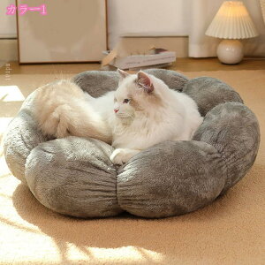 Lpxbh ybgxbh ^ L ybgpi lR xbh  ybgnEX ۉhxbh Lp 􂦂 ybgpi ΍ NbV Lxbh xbh NbV ybgQ 