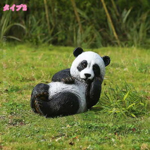 2000~OFFN[| K[fI[ig 蕨 K[fjO u IuWF  K[f  u Aj}  ̑ ̒u G K[fjOG 傫 ϋv ϓ C