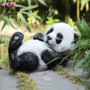 2000~OFFN[| K[fI[ig 蕨 K[fjO u IuWF  K[f  u Aj}  ̑ ̒u G K[fjOG 傫 ϋv ϓ C