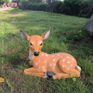  I[ig  Aj} IuWF u CeA   G K[f K[fjO u   O Op K[fp ̓ Mtg v[g 蕨 킢 