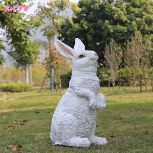 ̒u K[fjOG K[fjO u IuWF G ɒu̒u rbg ẽI[ig CeA i N  v[g  蕨 IuWF e