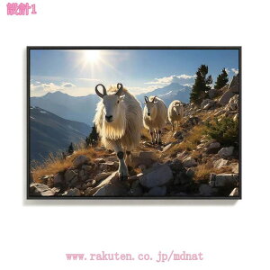 777~OFFN[| Ǌ| A[gpl k EH[fR[V AWAG AWALoXA[g t[t CeA A[g|X^[ Mtg _   ǊG G