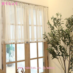 JtFJ[e V[g   킢  k  J[e ډB  [  Lb` 䏊 rO l炵 _CjO V HX  X