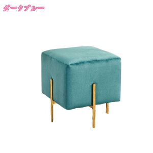 Xc[ [ xxbh xA 45cm ` rt xxbg  ۈ֎q ֎q CX  `FA  킢 NbV AeB[N u Ibg}  ~` wȂ 