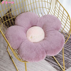 zc  NbV p Sn ̈U zc n V[gNbV \t@ NbV KɂȂȂ  ֎q a `FApbh  ӂӂ rO I