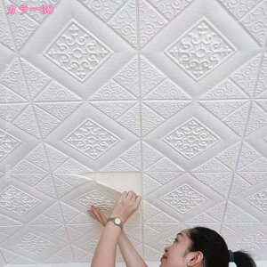 3dǎ K ǎ V[  y10z͂ NbVubN  h Lb` DIY k K NbVV[g ǕC V[g ̂t ւ A CN