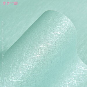 CNV[g ԕV[ ǎ _[NO[ JbeBOV[g ǎ NX ͂ ̂t EH[ XebJ[ ӂ܎ CeA ͗lւ tH[V[g DIY Ƌ  CV