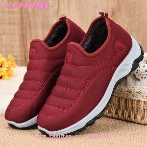 Xm[u[c fB[X Xm[V[Y hC hu[c ~C y Xb| Xj[J[ {A N ȂC ۂ g JWA   ʋ ʊw p 