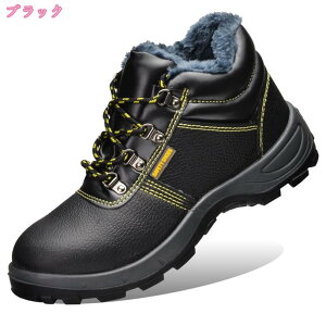 h h SC(X`[gD) ƌC SC Z[teB[V[Y JیC fB[X Y SC ƌC |c Bݔh~ 񂺂C Y fB[X jp 傫T