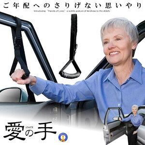 ���̎� �ԗp �⏕��� �N�z ������ �肷�� �V�l ���N�z ���S ���S ���S�y�� �����h�~ ���̖h�~ �J�[�p�i �֗� �x���g �݊v �v���[���g A