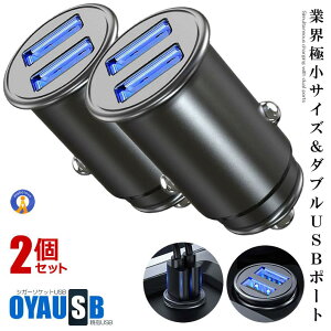 �V�K�[�\�P�b�g usb ���z�� 2�Z�b�g �[�d USB 2�|�[�g �ԗp �S���� �y�� �J�[�`���[�W���[ �� �[�d�� 2�� �X�}�z �R���p�N�g ���^ �X