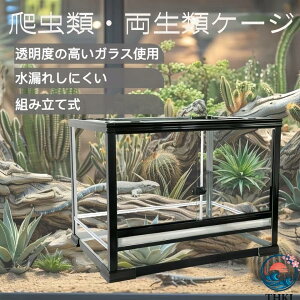 ���i�摜