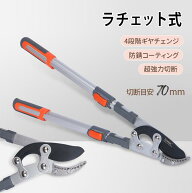 太枝切鋏 剪定ばさみ ラチェット式 70mm 替刃式 剪定鋏 太枝切りバサミ 太い枝 枝きりはさみ 太枝切りは…