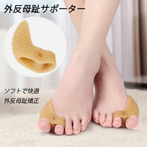OT|[^[ VRS w ܐ w ewی  \{ 炩 j  p OObY tbgPA E C e ɂ݌y 