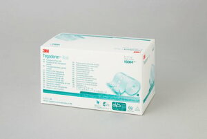 eK_[ gXyAg tB[ 10cm×10m 16004