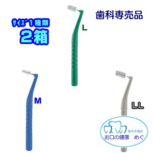 N[|p!!ԃuV CI DENT.EX 2(4{/) TCYI(M/L/LL)