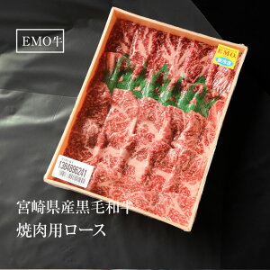  ẴMtg ăMtg v[g 蕨 ēp(₫ɂ/ĂĂZbg) [X500g {茧Y јa EMOiLcj ⓀHi  񂹃O ⓀHi z