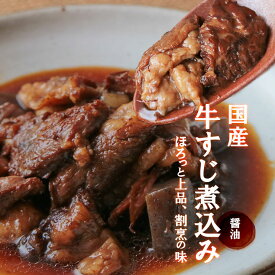 肉 おつまみ 国産牛すじ煮込み190g×2袋が1セット スジ肉 すじ肉 おつまみ お肉 焼き鳥 訳あり 在庫処分 食品 宮崎 レトルト 非常食・保存食 防災グッズ お試し 鶏肉 珍味 送料無料