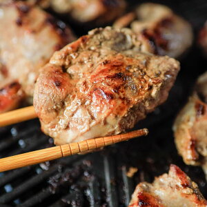 Y ؂قٓ zz RJ~ ؃JV c~ JV  ؓ |[N j Ă ĂƂ 󏭕 ubN Ⓚ 1L Ɩp AEghA ē Ă BBQ o[xL[(bbq/BBQ) ēZ