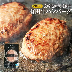 母の日 父の日 プレゼント ギフト 贈り物 食べ物 送料無料 セット 食品 食べ物 お肉 黒毛和牛 EMO牛（有田牛） エモー牛 てごね ハンバーグ 100g×10 グルメ 酒卵不使用 焼き温めるだけ ホルモン剤不使用 抗生物質不使用 遺伝子組換え飼料不使用 ホルモンフリー