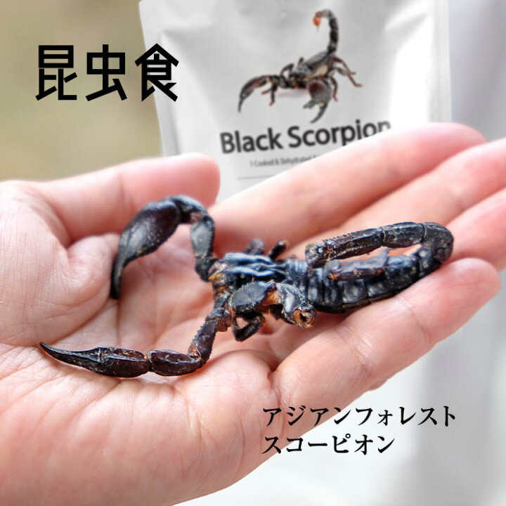 楽天市場 食用虫 虫 食べる虫 アジアンフォレストスコーピオン大 Black Scorpion サソリ さそり 蠍 6g タイ産 食用虫 昆虫食 食べる虫入門 おつまみ お菓子 珍味 パーティー 送料無料 Takeo 罰ゲーム グッズ ドッキリ イタズラ ゲテモノ イベント 食用蟲 常温保存 食品