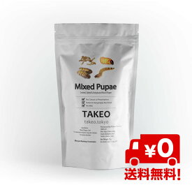 楽天市場 食用 虫の通販