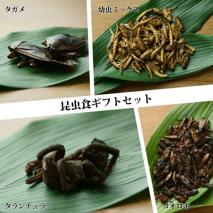 楽天市場 父の日 プレゼント 食べ物 食用虫 虫 ギフト 送料無料 セット 冬ギフト 食品 食べ物 昆虫食 食べる虫 タランチュラ タガメ バッタチョコレート スーパーワーム幼虫チョコ タイ産 食用虫 食べる虫入門 おつまみ サプライズ 変わった 珍しい ドッキリ 食用蟲 常温 楽天市場 父の日 プレゼント 食べ物 食用虫 虫 ギフト 送料無料 セット 冬ギフト 食品 食べ物 昆虫食 食べる虫 タランチュラ タガメ バッタチョコレート スーパーワーム幼虫チョコ タイ産 食用虫 食べる虫入門 おつまみ サプライズ 変わった 珍しい ドッキリ 食用蟲 常温