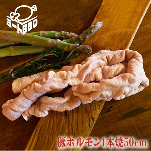 ؃z1{50cm@500g×2/ĂςɁIIo[xL[ BBQ Lv p[eB[ ē Ⓚ ؂ Ԃ VN ύ ܂ c   z ؃z Ă