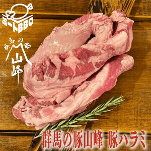 Qn̓؎R ؃n~(500g×2)@5`6lO/ēuߕAJ[ɁIo[xL[ BBQ Lv p[eB[ Ⓚ Ԃ͂ J[ V`[ e { ܂邲 ₫ɂ a 