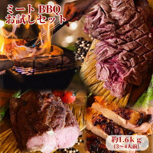 キャンプ バーベキュー セット 肉類の人気商品 通販 価格比較 価格 Com