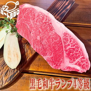 јav4 1kg 5-6lO /o[xL[ BBQ Lv p[eB[ 󏭕 ~ ubN Xe[L [Xgr[tp  Y a 񂶂傤 v[g NX}