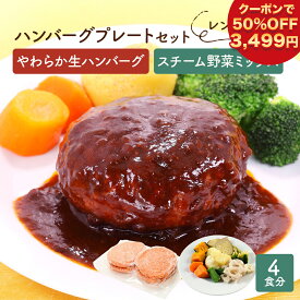 【 50％OFFクーポンで3,499円!! 】 ハンバーグ 野菜セット ハンバーグ 惣菜 大容量 メガ盛り 食品 グルメ 肉 お取り寄せグルメ 高級 食べ物 冷凍食品 冷凍 牛 まとめ買い スチーム 野菜 蒸し野菜 時短調理 プレゼント 贈り物 グルメ 肉 ギフト 福袋 2024 食品