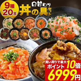 ＼楽天スーパーSALE 半額 &最大P10倍／ 【 送料無料 】丼の具 9種 20食 レンジ 温めるだけ 一人暮らし 仕送り 惣菜 セット 牛丼 海鮮丼 サーモン丼 豚丼 カルビ 生姜焼き 豚キムチ すき焼き 牛すじ 詰め合わせ 冷凍食品 おかず 時短 単身赴任 サーモン 海鮮 肉牛肉グルメ 父
