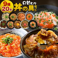 ＼期間限定クーポンで対象商品 半額 ／ 【 送料無料 】丼の具 9種 20食 レンジ 温めるだけ 一人暮らし 仕…