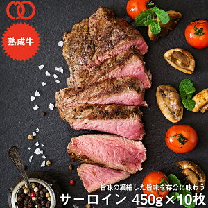 _XSiz&P10{52,800~26,400~^ AJY n T[C Xe[L (450g) 10Zbgy n  Xe[L Ԑg z d ٓ q͂ H Hו Ɩp  ƒp