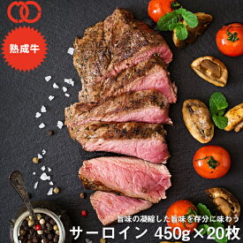 アメリカ産 熟成 サーロイン ステーキ (450g) 20枚セット【 熟成牛 牛肉 BBQ ステーキ肉 赤身 】 アウトレット サンプル 仕送り お弁当 子供 時短ごはん 食事 食べ物 業務用 おかず 家庭用 ギフト 福袋 2024 食品