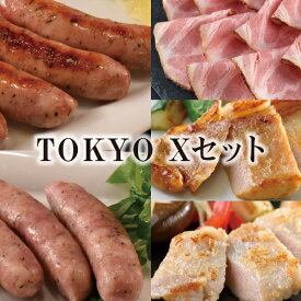 【 送料無料 】 TOKYO X セット【A】 お弁当 子供 時短ごはん 冷凍食品 惣菜 プレゼント 贈り物 グルメ 実用的 肉 ギフト 福袋 2024 食品